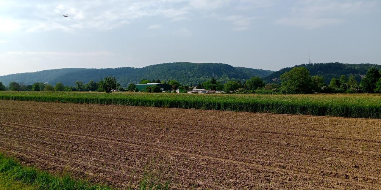 Ferienwohnung In Grenzach Bagian luar foto