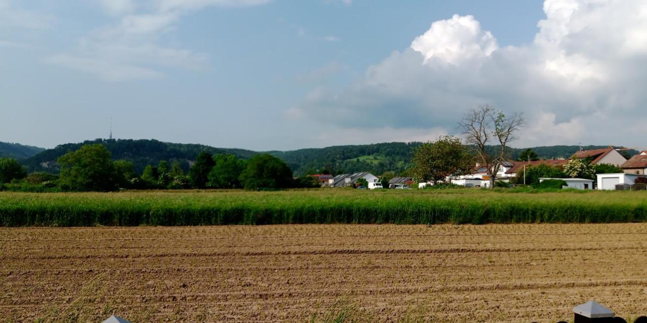 Ferienwohnung In Grenzach Bagian luar foto