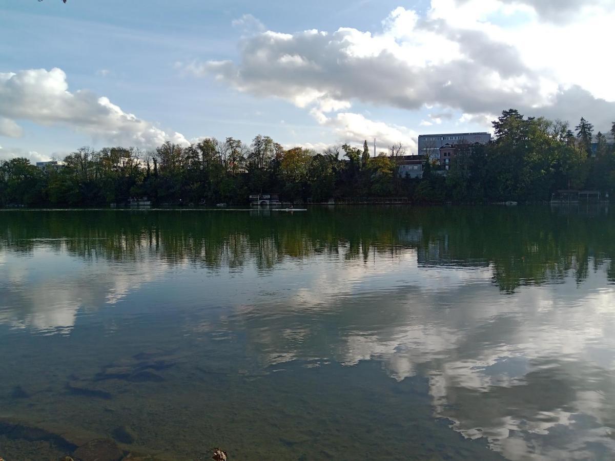 Ferienwohnung In Grenzach Bagian luar foto